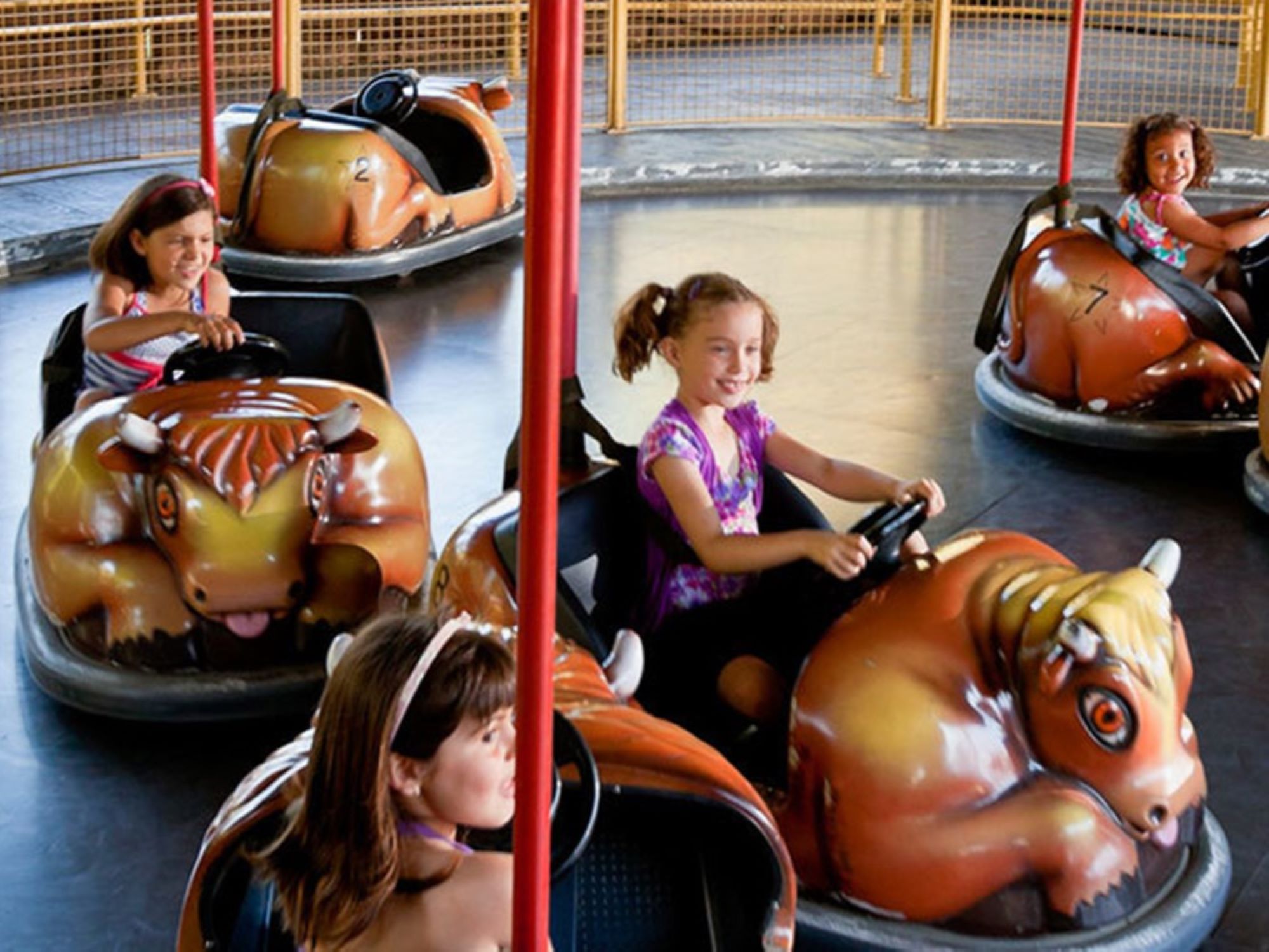 BUMPER CAR MINI - INDOOR image