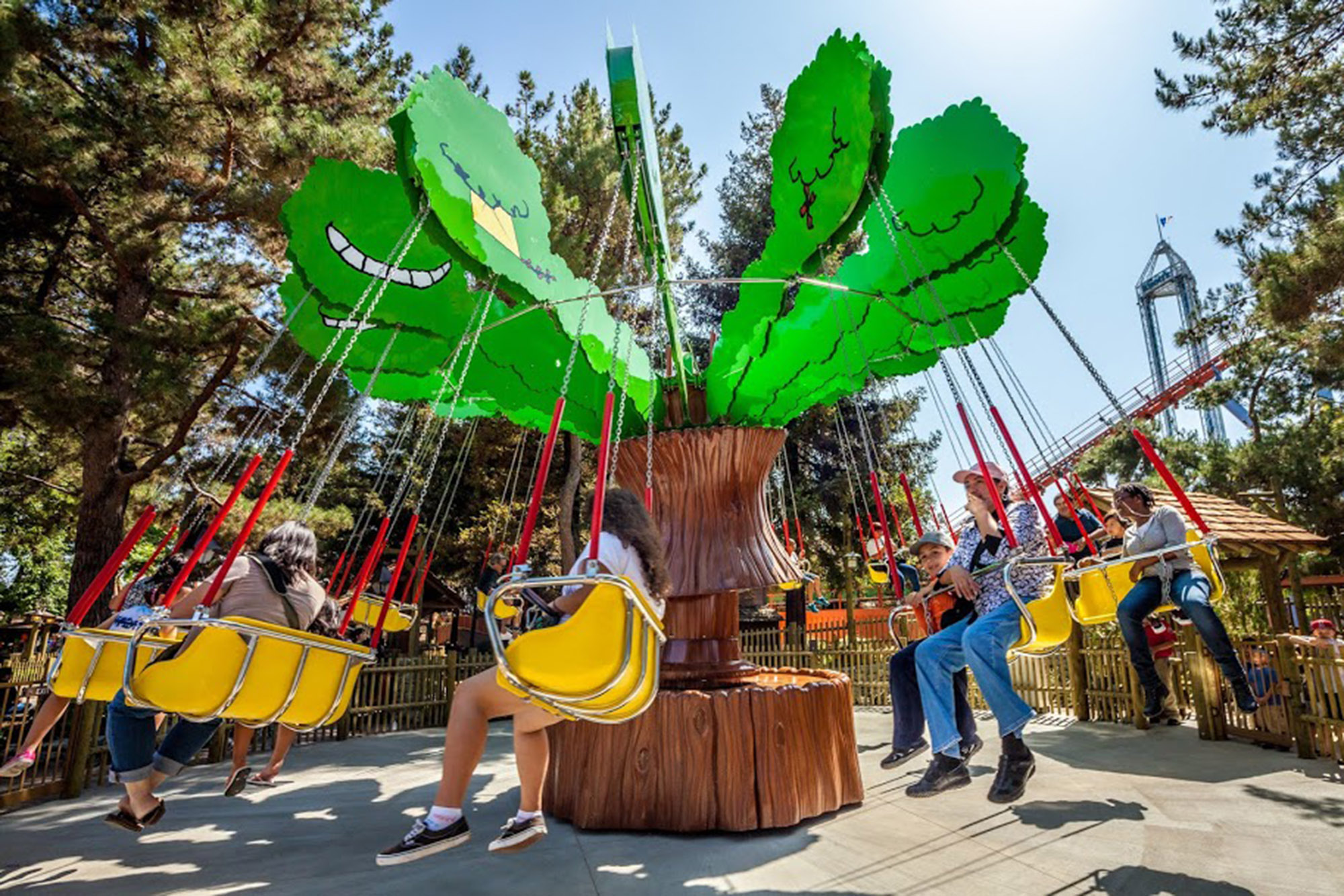 LOLLY SWING image
